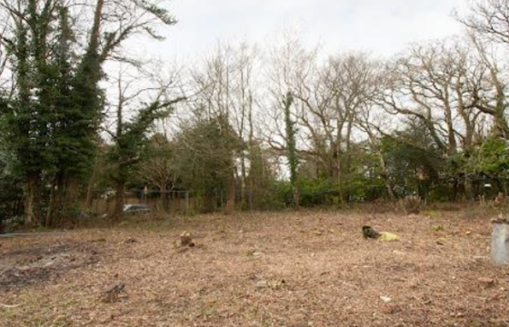 Development land in Heathfield photo